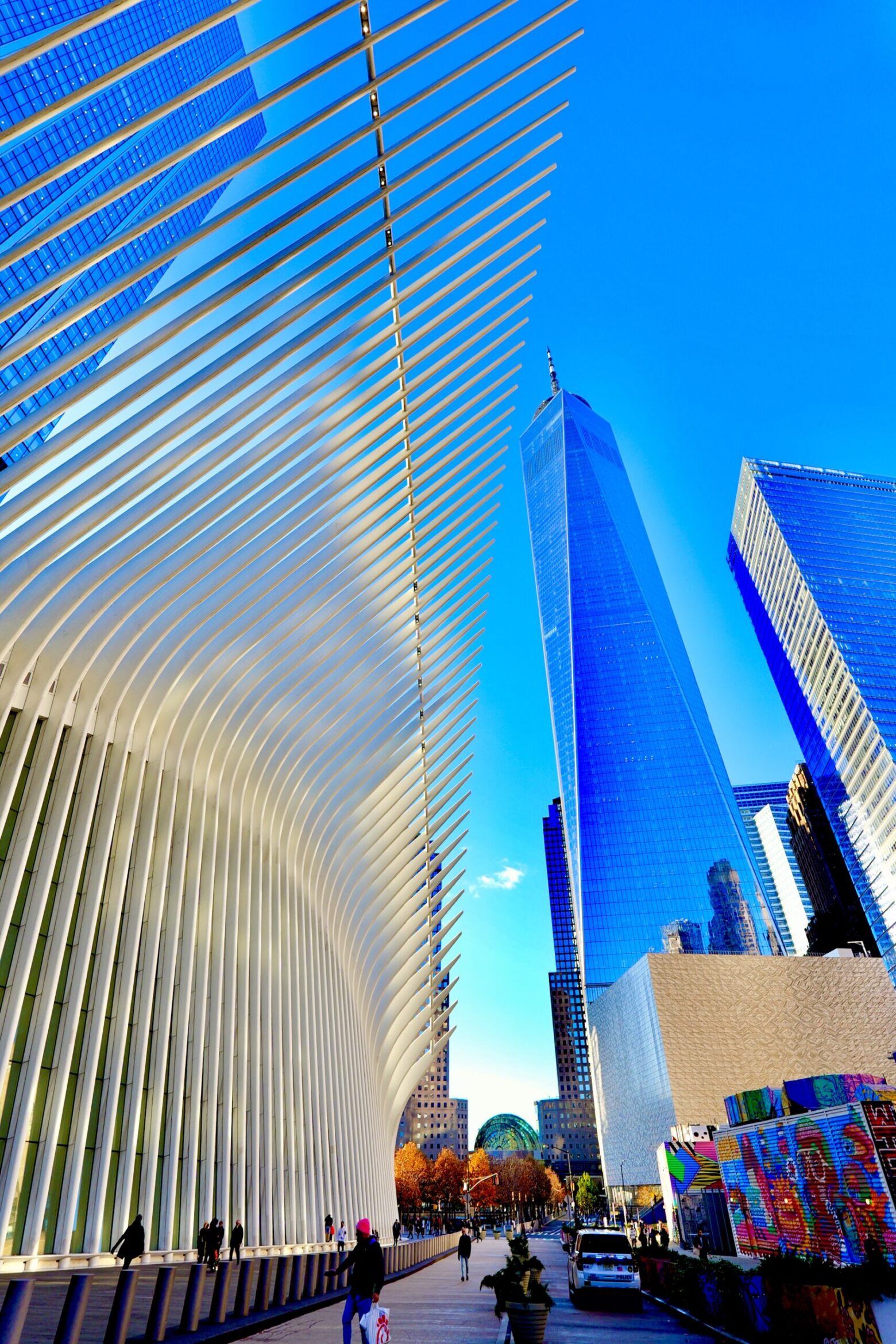 Discovering New York in November: Five Must-Do Activities